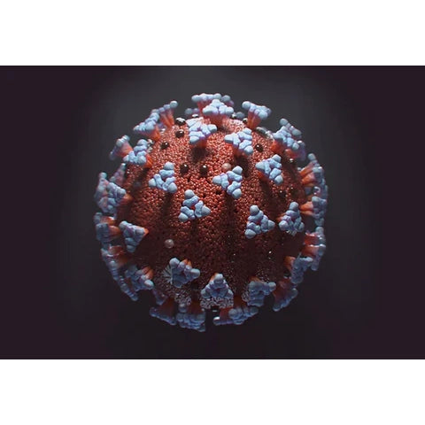 Well, It's nearing the end of 2022 and We Have Survived COVID-19!