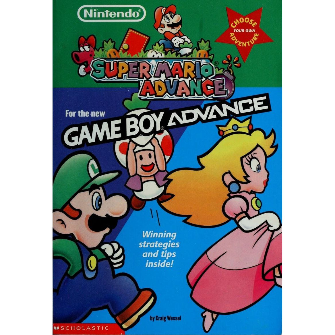 Super Mario Advance Choose Your Own Adventure