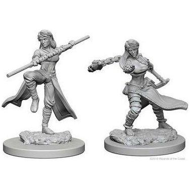 D&D - Minis - Nolzurs Marvelous Miniatures - Moine Humain