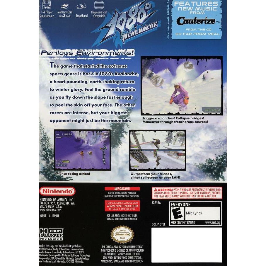 GameCube - 1080 Avalanche