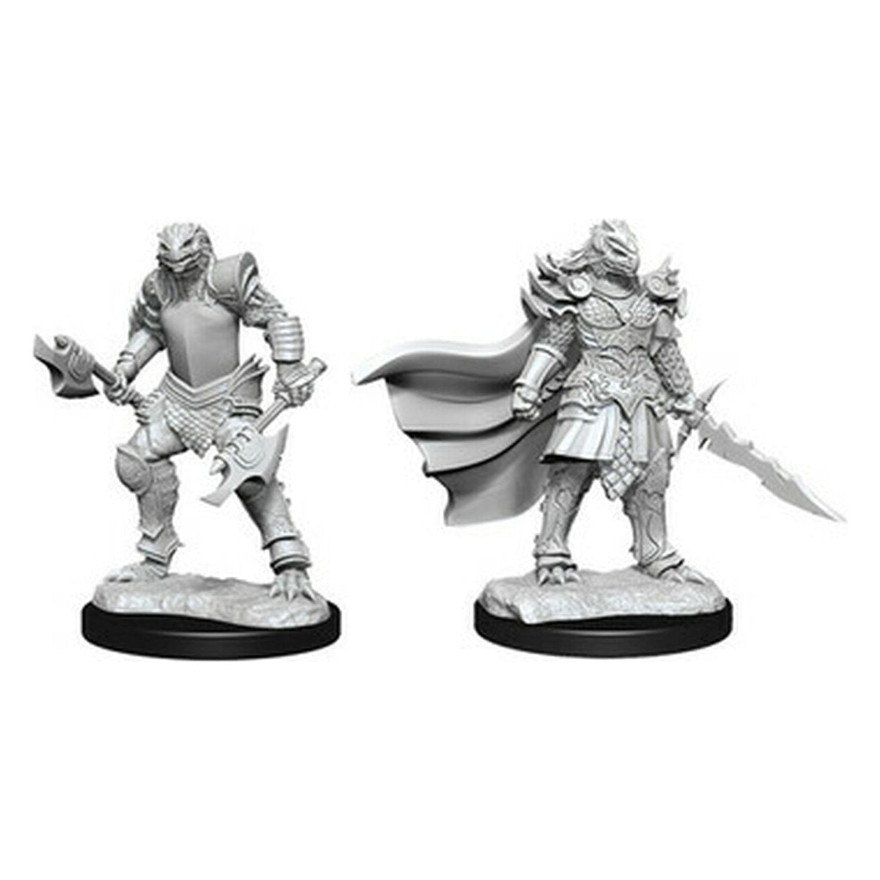 D&D - Minis - Nolzurs Marvelous Miniatures - Dragonborn Female Fighter