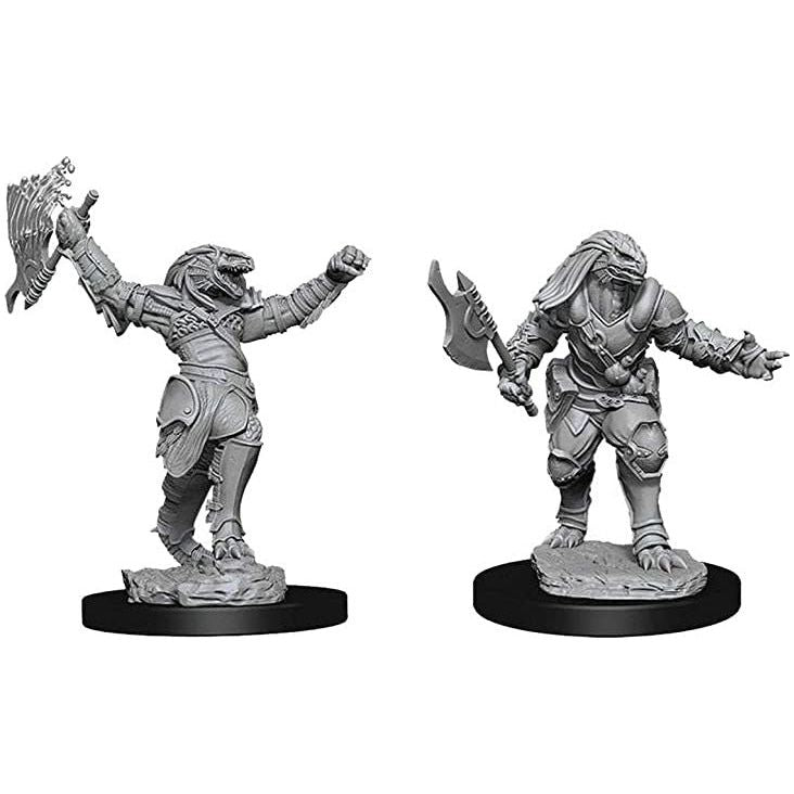 D&D - Minis - Nolzurs Marvelous Miniatures - Dragonborn Female Fighter
