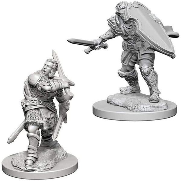 D&D - Minis - Nolzurs Marvelous Miniatures - Paladin mâle humain