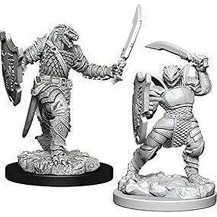 D&D - Minis - Nolzurs Marvelous Miniatures - Paladin Femelle Dragonborn