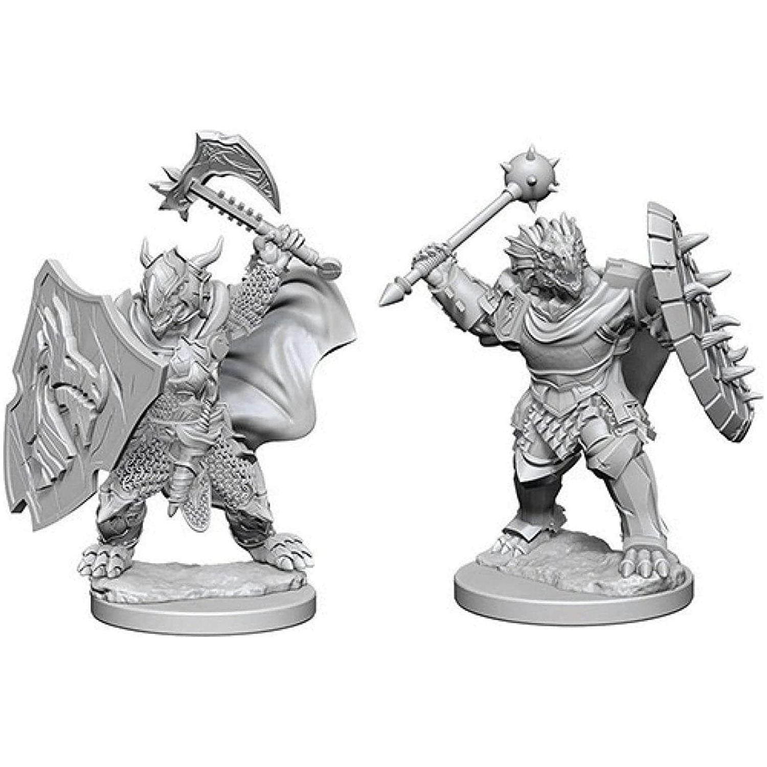 D&D - Minis - Nolzurs Marvelous Miniatures - Paladin mâle Dragonborn