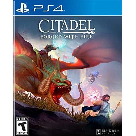 PS4 - Citadel Forged with Fire
