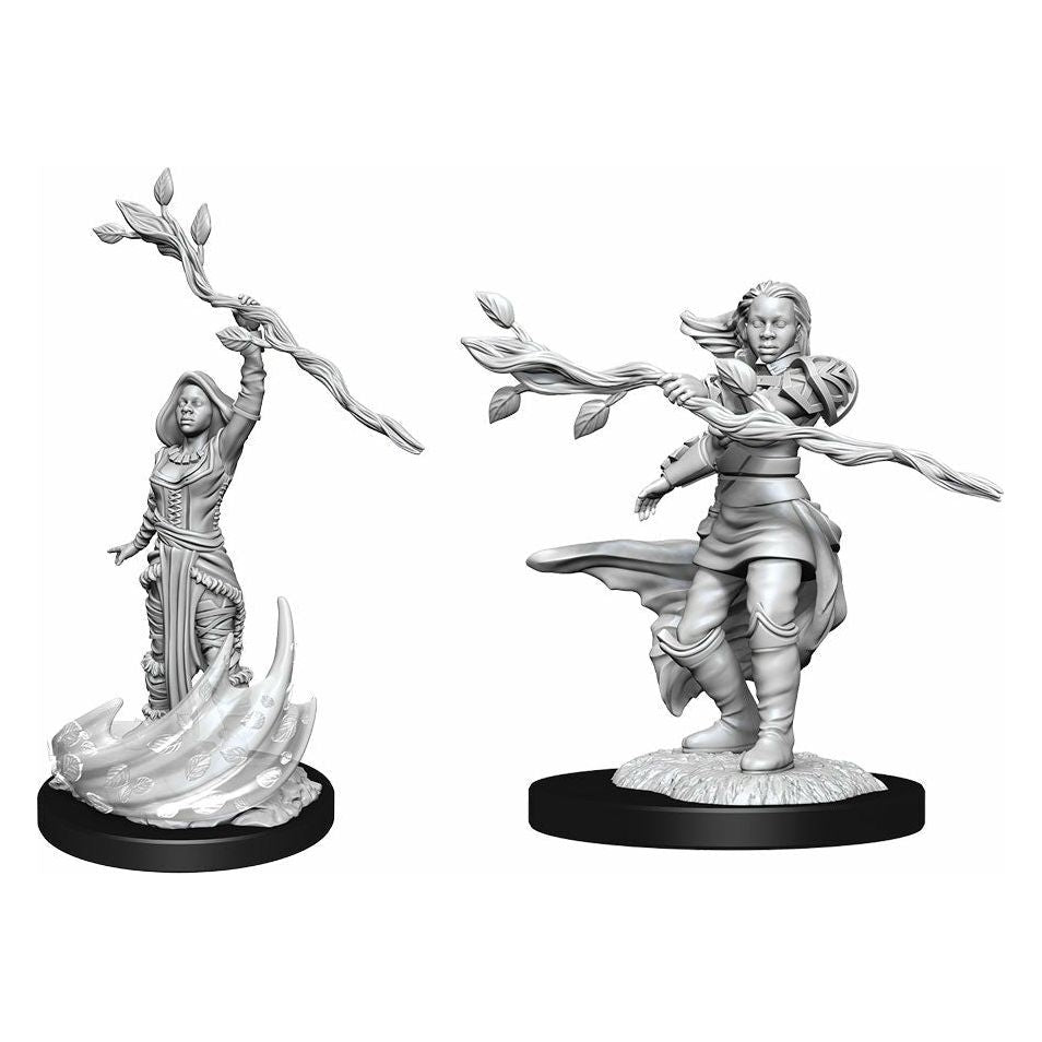 D&D - Minis - Nolzurs Marvelous Miniatures - Druide Humaine Femelle