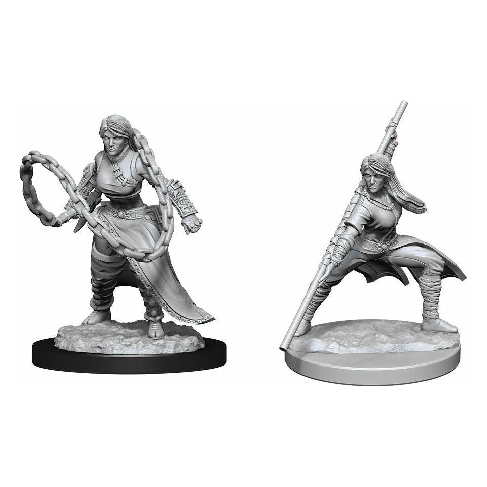 D&D - Minis - Nolzurs Marvelous Miniatures - Human Female Monk