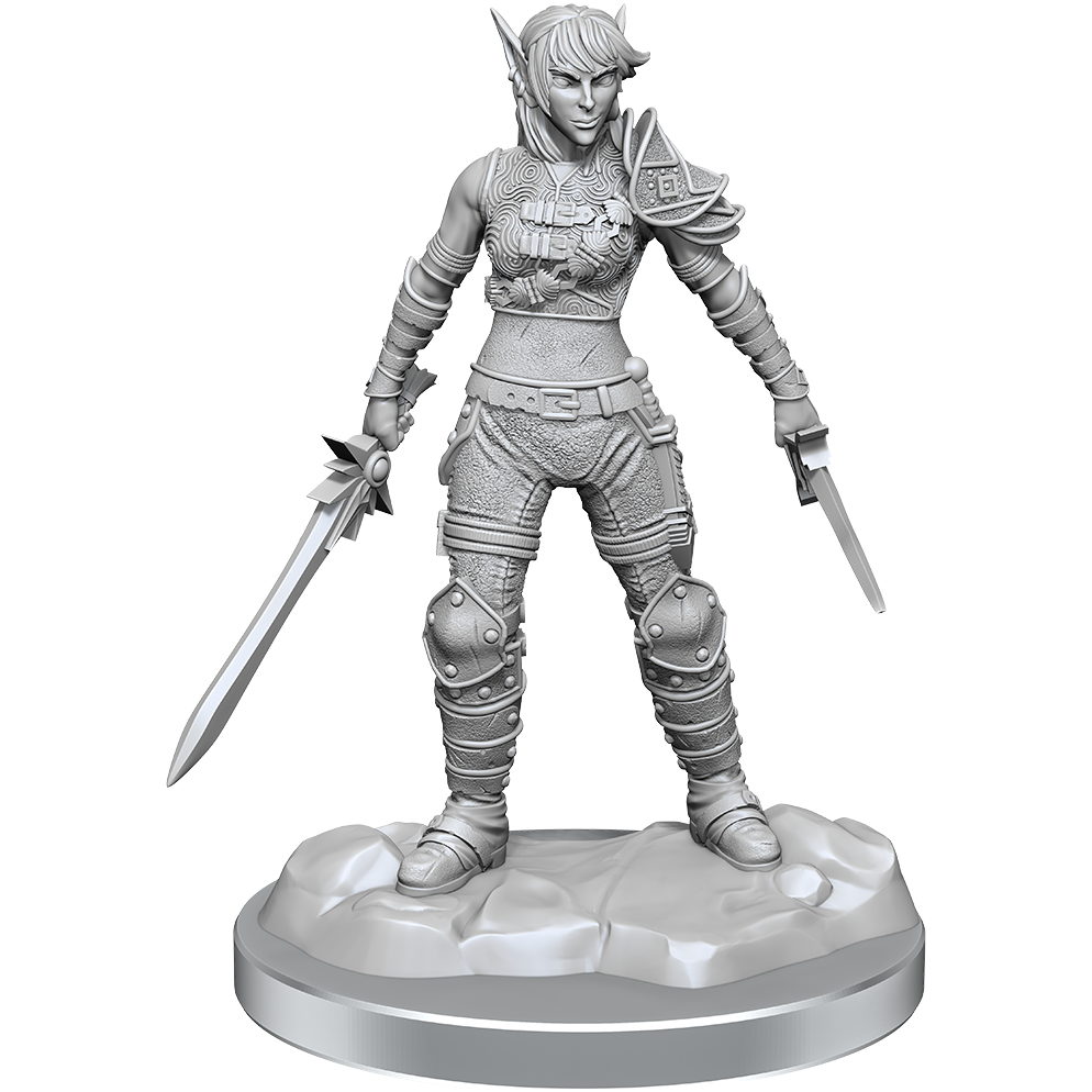 D&D - Minis - Nolzurs Marvelous Miniatures - Elfe Voleur & Demi-Elfe Voleur Protège