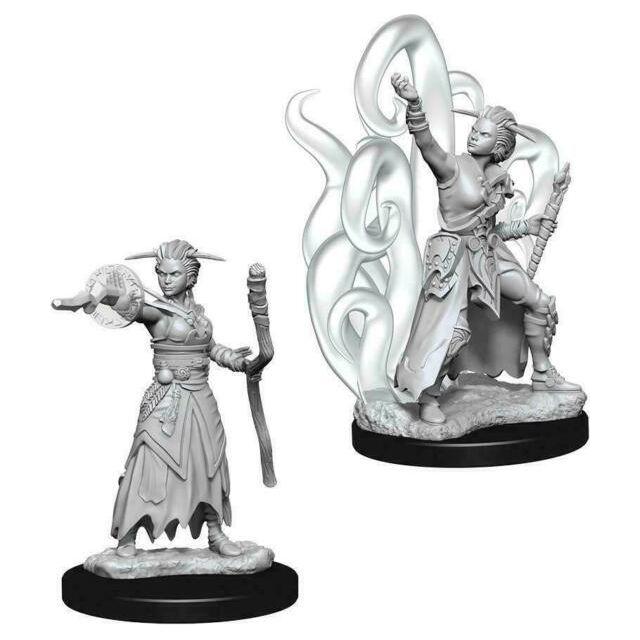 D&D - Minis - Nolzurs Marvelous Miniatures - Human Female Warlock