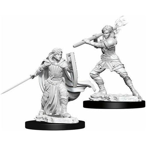 D&D - Minis - Nolzurs Marvelous Miniatures - Paladin Femelle Humaine