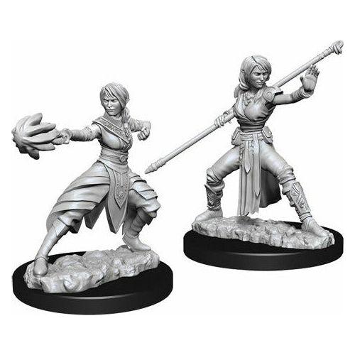 D&D - Minis - Nolzurs Marvelous Miniatures - Moine femelle demi-elfe