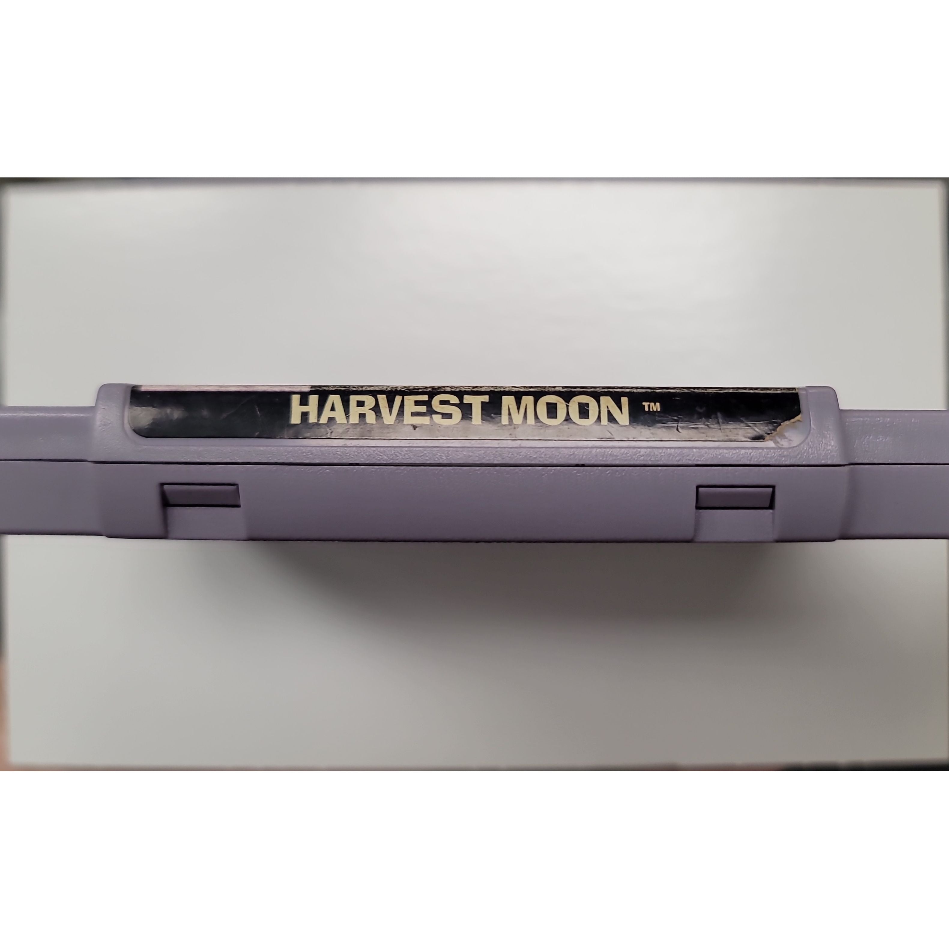 SNES - Harvest Moon (Cartridge Only)