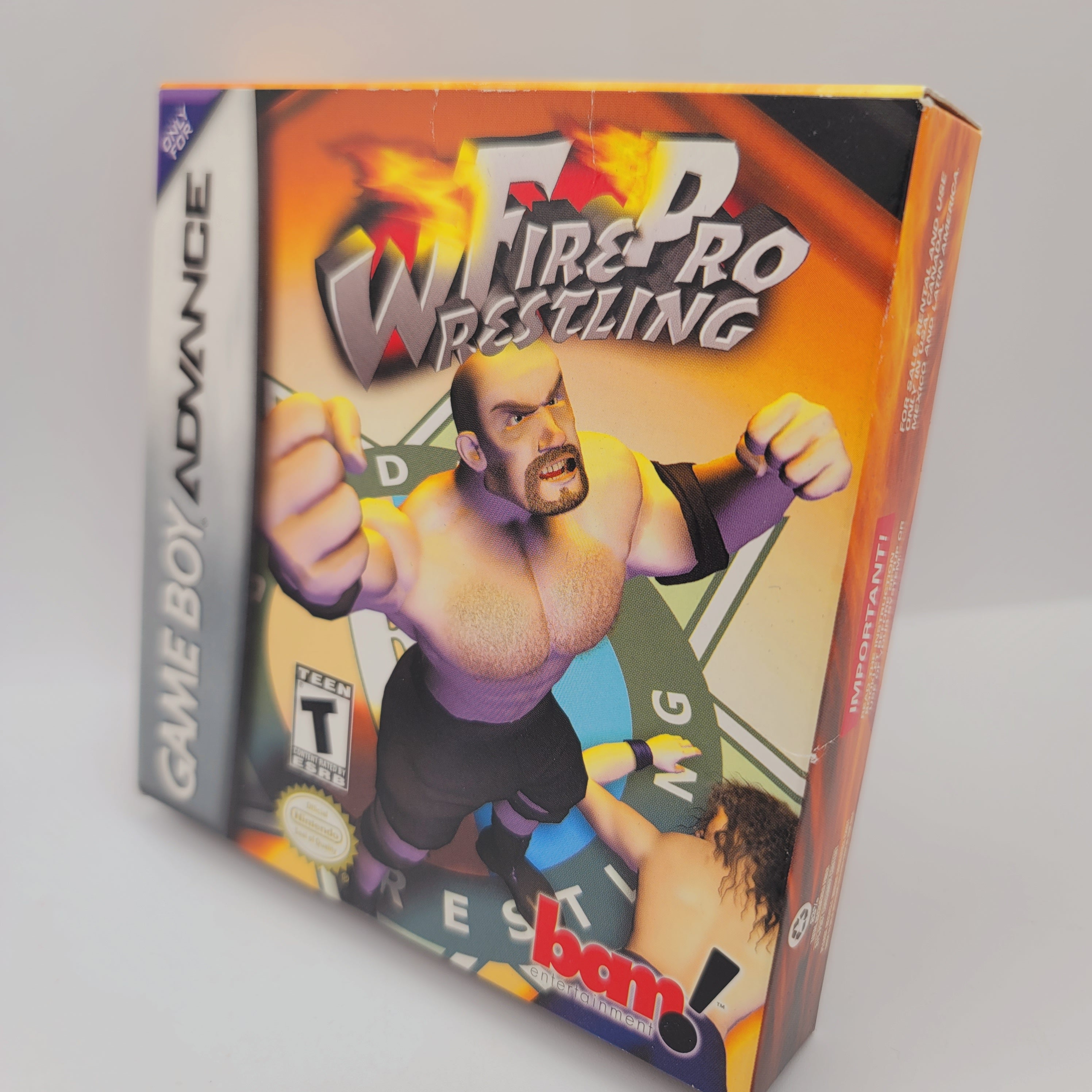 GBA - Fire Pro Wrestling (Complete in Box / A / With Manual)