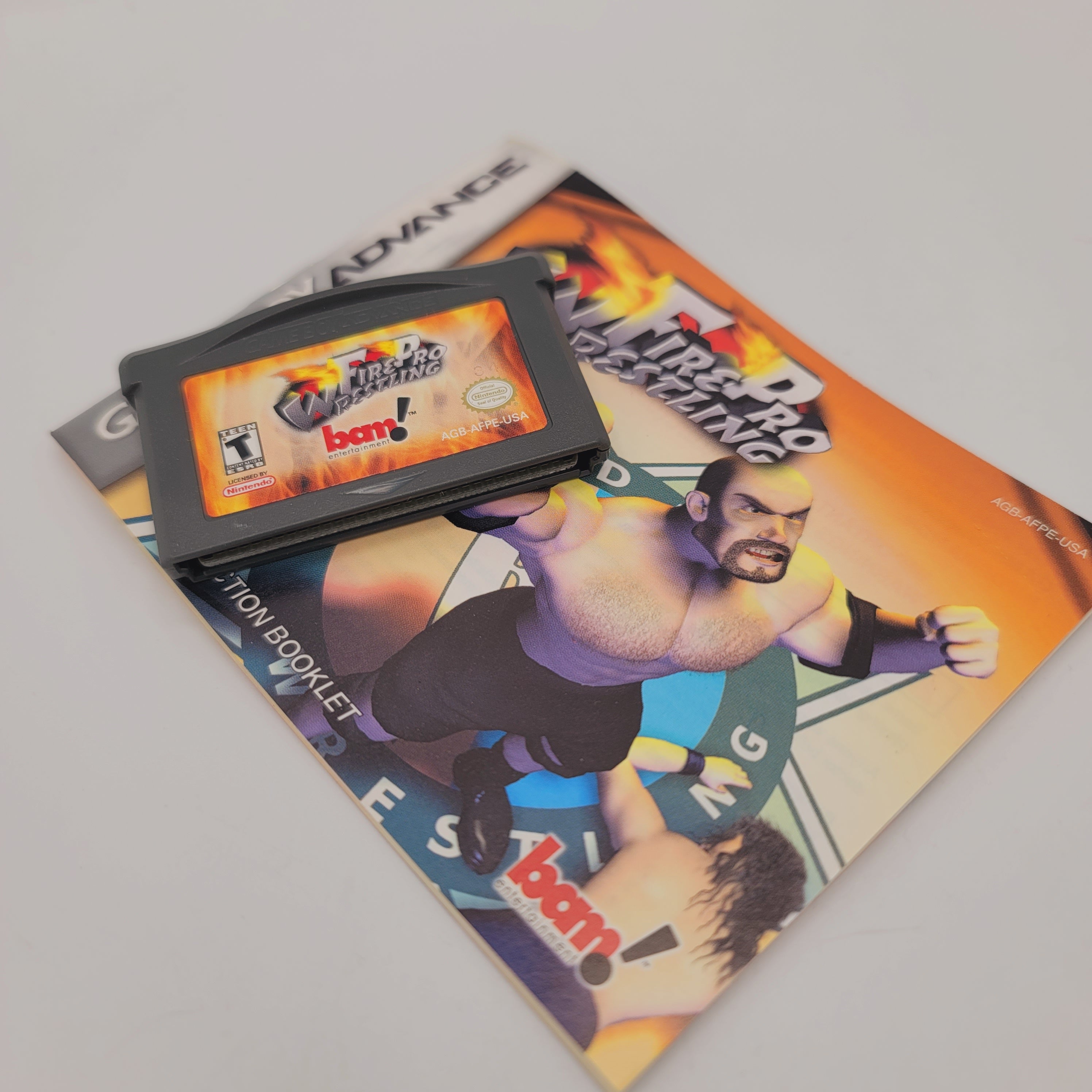 GBA - Fire Pro Wrestling (Complete in Box / A / With Manual)