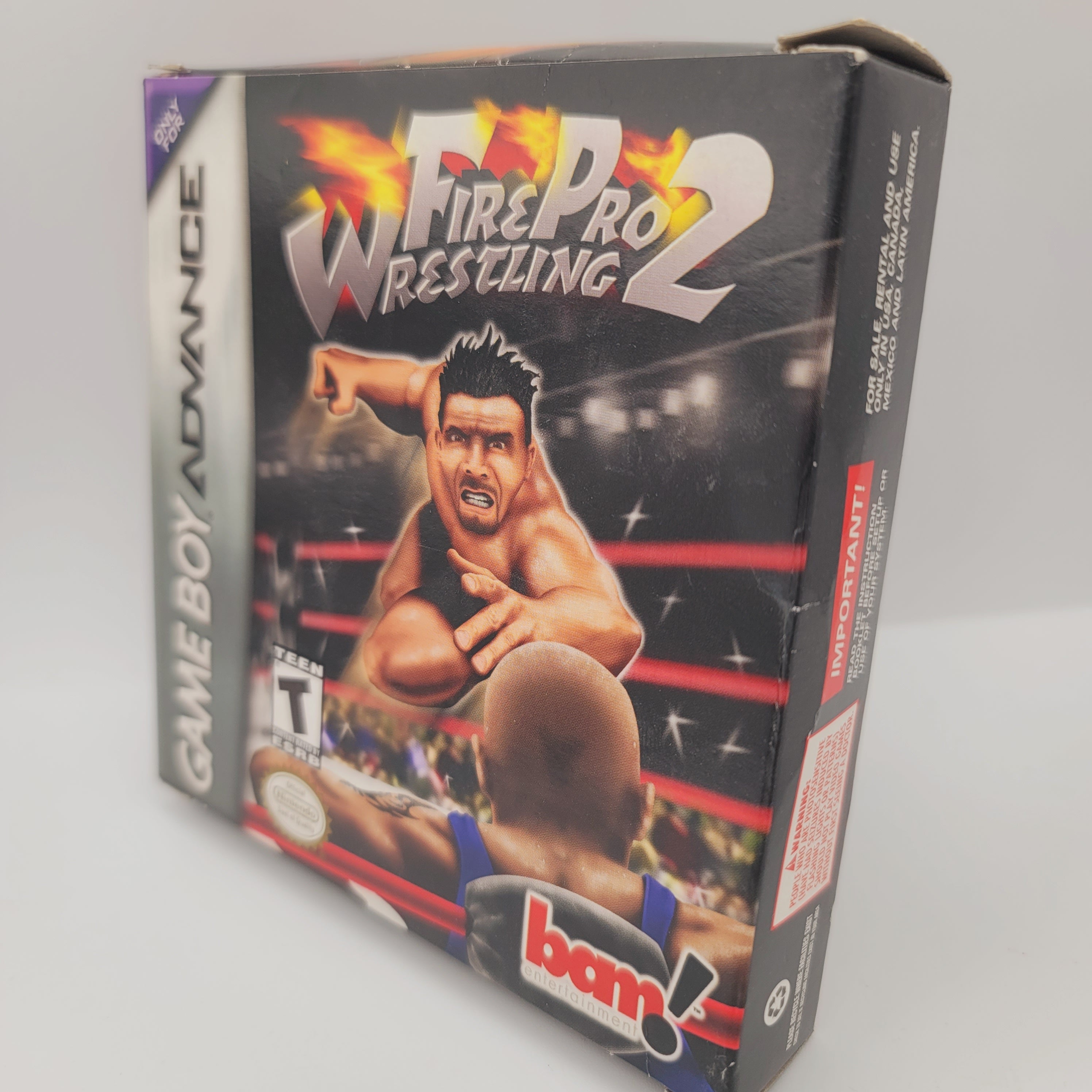 GBA - Fire Pro Wrestling 2 (Complete in Box / B+ / With Manual)