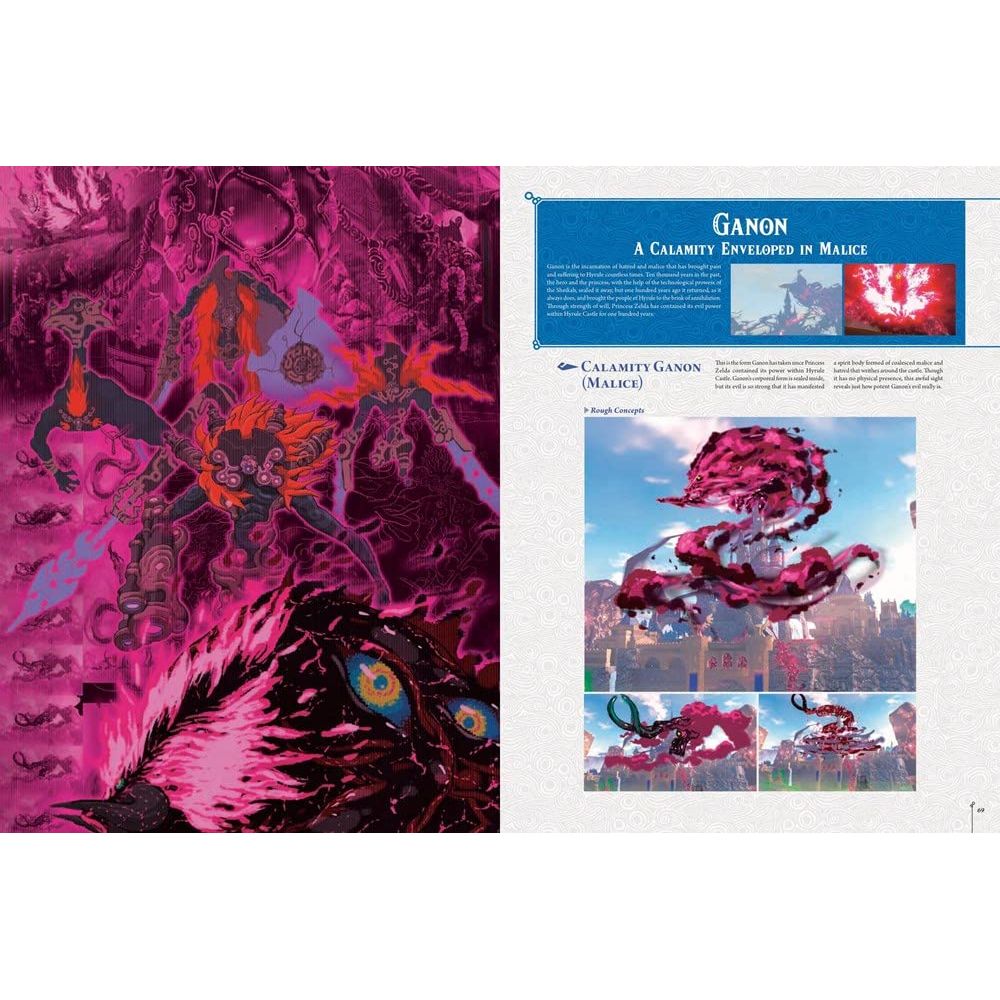 The Legend of Zelda Breath of the Wild Creating A Champion