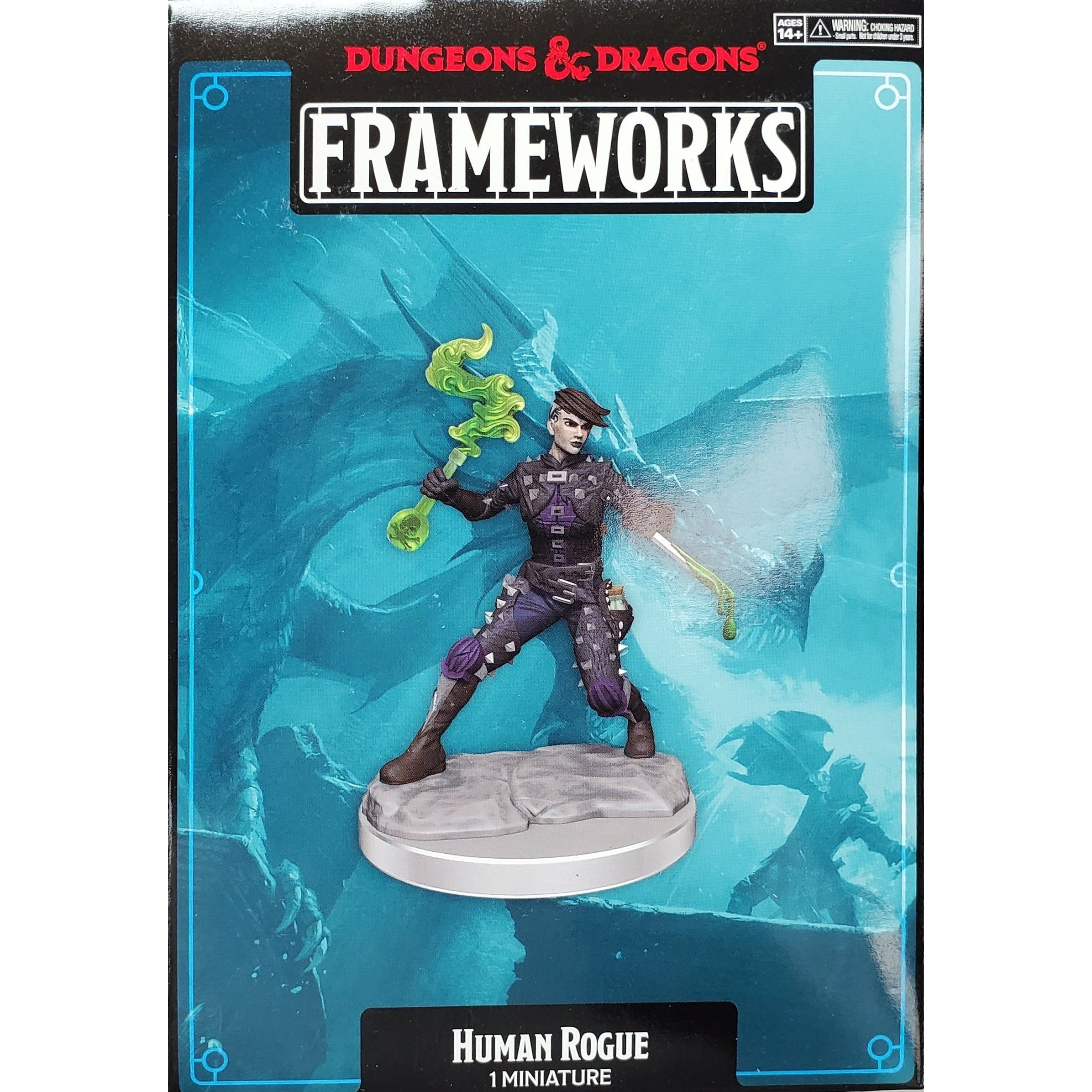 Dungeons & Dragons Frameworks - Human Female Rogue