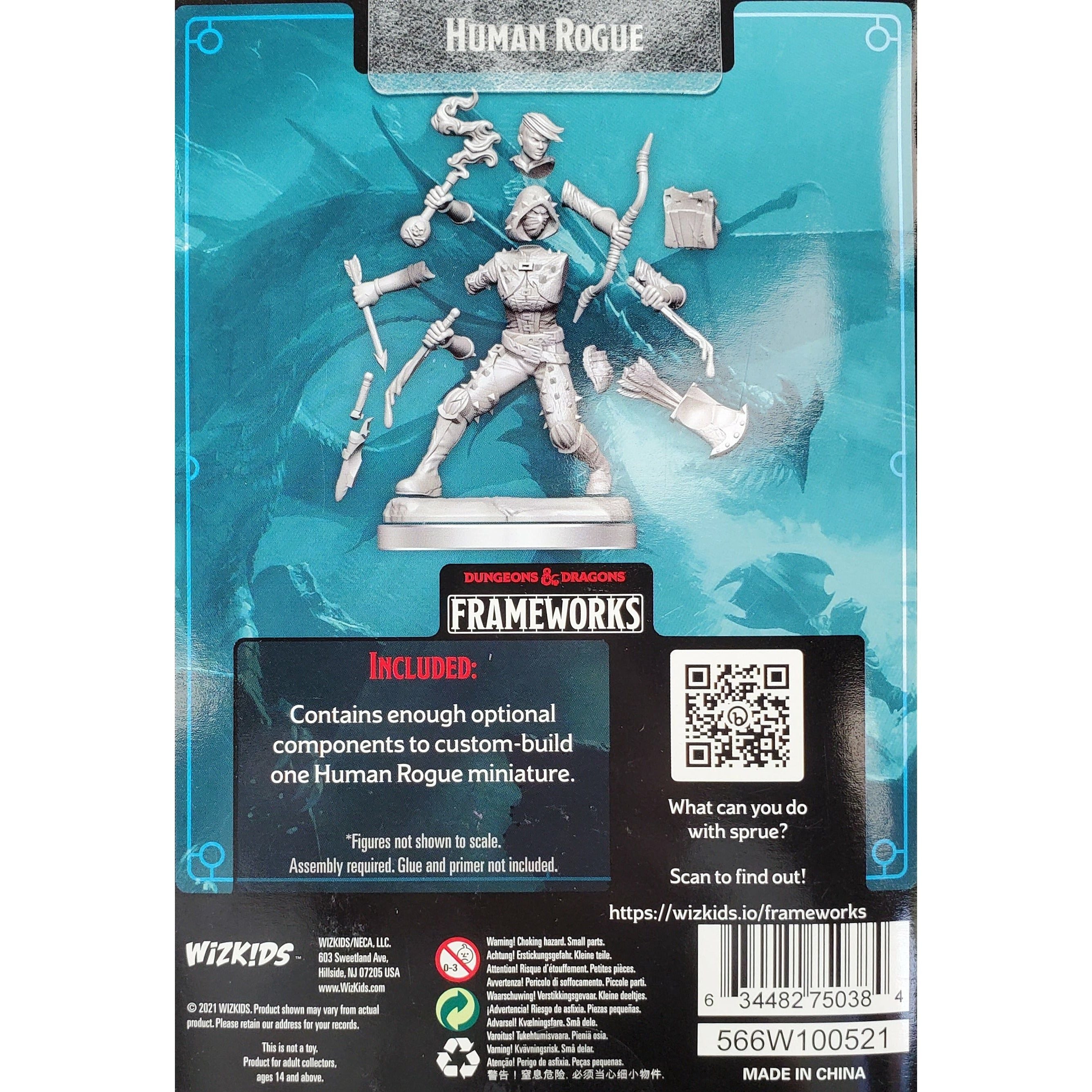 Dungeons & Dragons Frameworks - Human Female Rogue