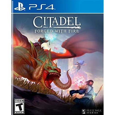 PS4 - Citadel Forged with Fire