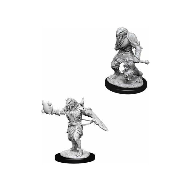 D&D - Minis - Nolzurs Marvelous Miniatures - Dragonborn Male Paladin