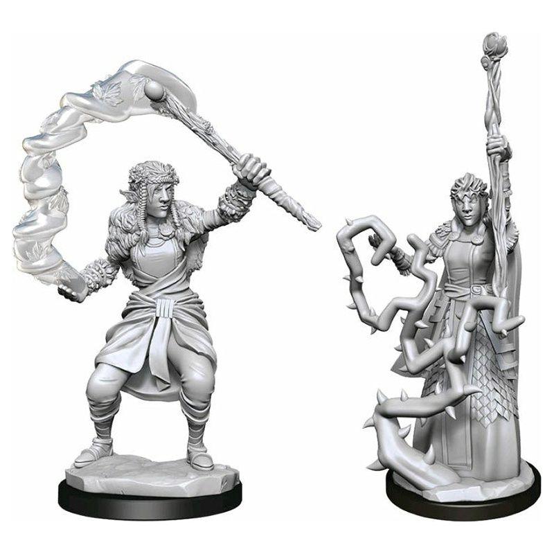 D&amp;D - Minis - Nolzurs Marvelous Miniatures - Druide femelle Firbolg