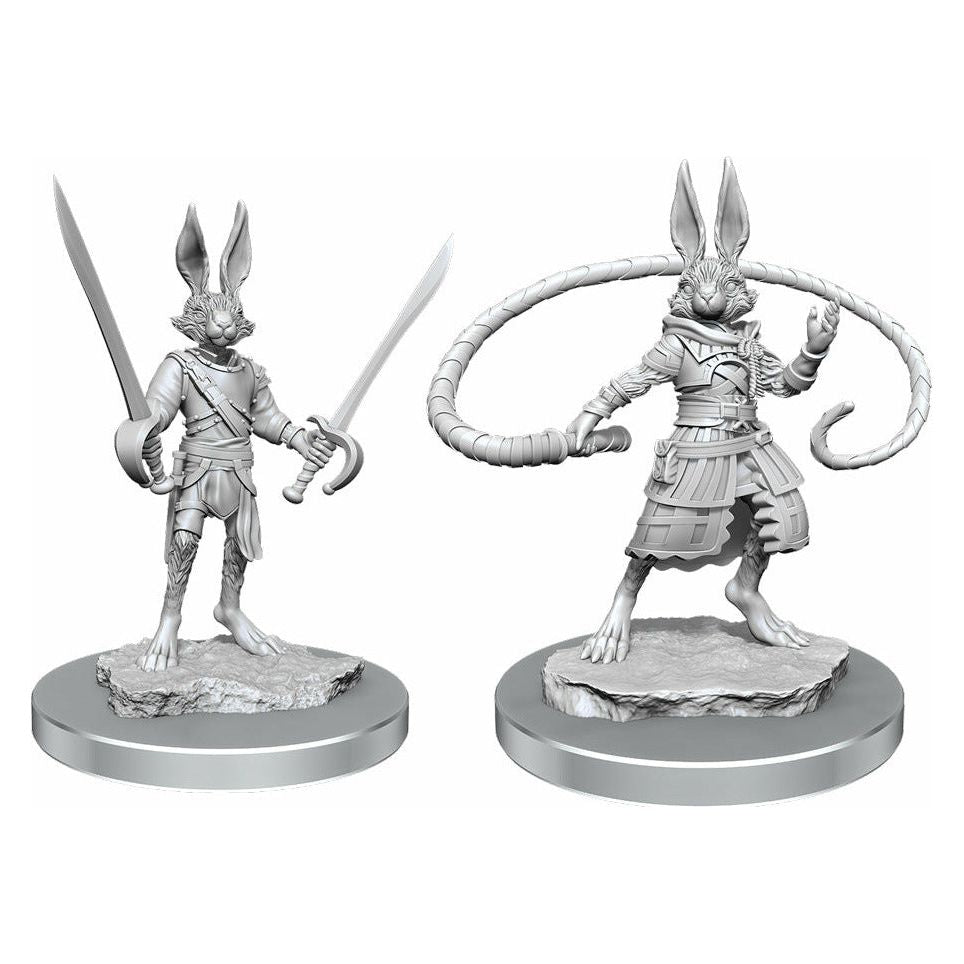 D&amp;D - Minis - Nolzurs Marvelous Miniatures - Harengon Rogues