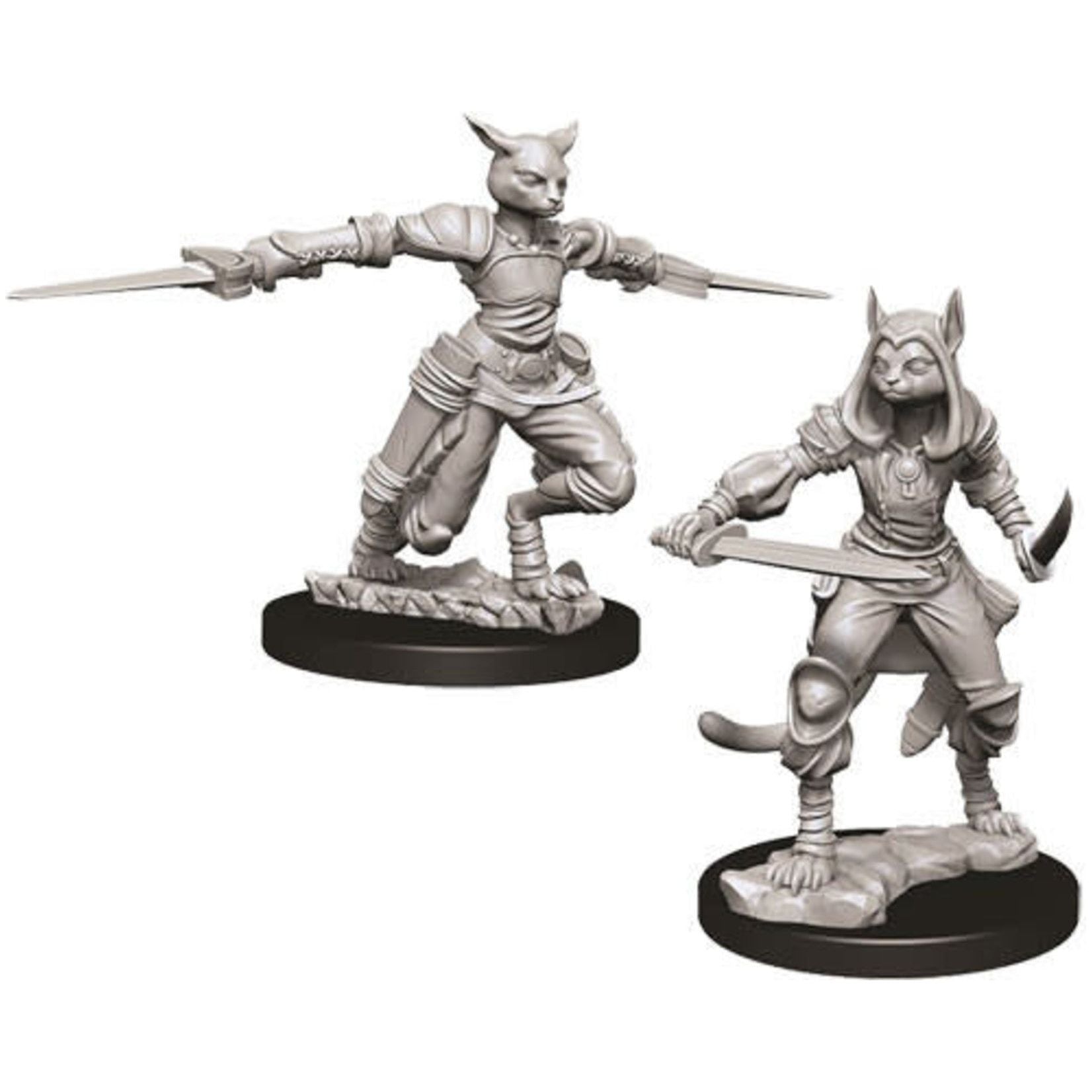 D&D - Minis - Nolzurs Marvelous Miniatures - Tabaxi Female Rogue