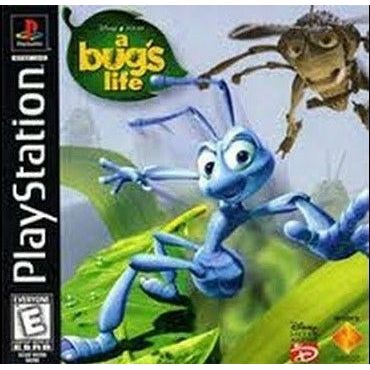 PS1 - La vie d'un insecte