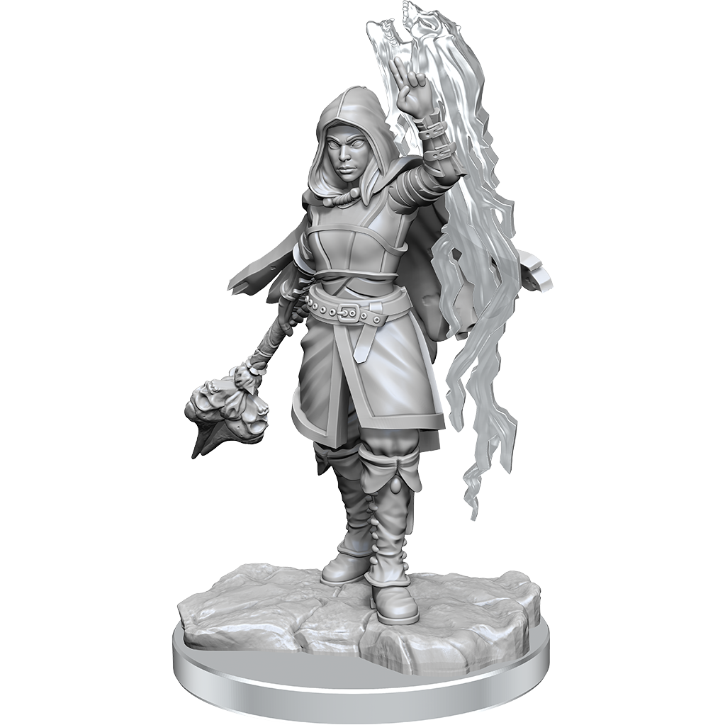 D&amp;D - Minis - Nolzurs Marvelous Miniatures - Démoniste Demi-Elfe