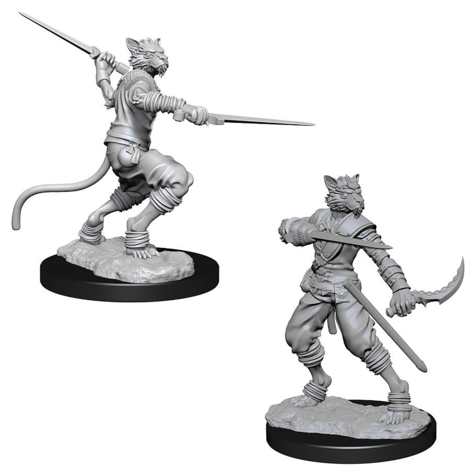 D&D - Minis - Nolzurs Marvelous Miniatures - Tabaxi Male Rogue