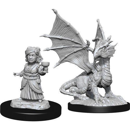 D&amp;D - Minis - Nolzurs Marvelous Miniatures - Dragon d'Argent Wyrmling &amp; Dragon Friend
